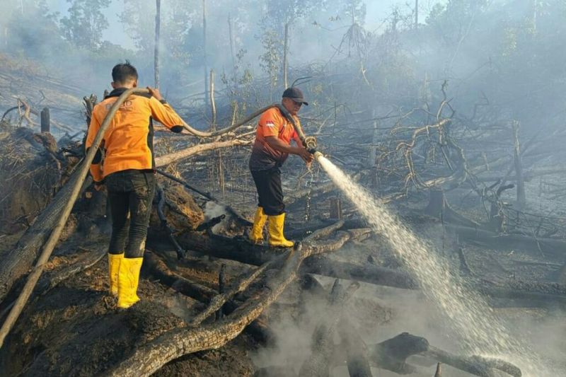 Titik panas di Kalimantan Timur bertambah Titik panas di Kalimantan Timur bertambah