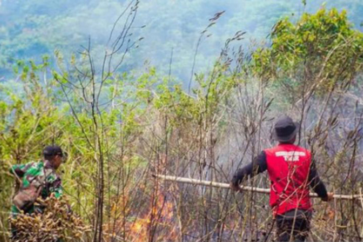 Balai TNGR sebut kebakaran lahan berhasil dipadamkan Balai TNGR sebut kebakaran lahan berhasil dipadamkan