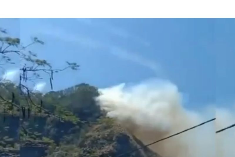 BPBD Bali sebut gesekan pohon sebabkan kebakaran di bukit Karangasem BPBD Bali sebut gesekan pohon sebabkan kebakaran di bukit Karangasem