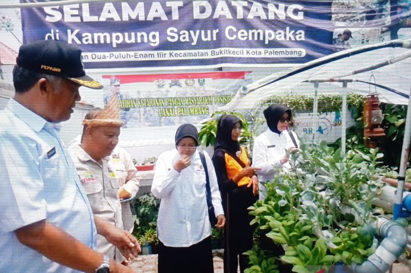 Pepabri Palembang berikan pelatihan hidroponik ke purnawirawan Pepabri Palembang berikan pelatihan hidroponik ke purnawirawan