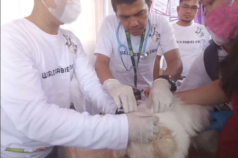 Peringati Hari Rabies Sedunia, Karantina Pertanian Lampung gelar vaksinasi gratis Peringati Hari Rabies Sedunia, Karantina Pertanian Lampung gelar vaksinasi gratis