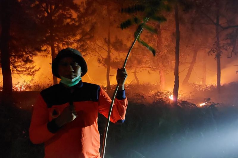 Seribuan hektare kawasan Hutan Lindung Gunung Soputan Sulut terbakar Seribuan hektare kawasan Hutan Lindung Gunung Soputan Sulut terbakar