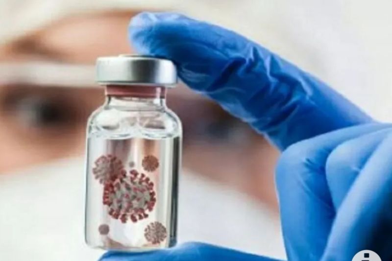 Sedang merebak, wisatawan asal India bergejala Virus Nipah perlu dicurigai Sedang merebak, wisatawan asal India bergejala Virus Nipah perlu dicurigai