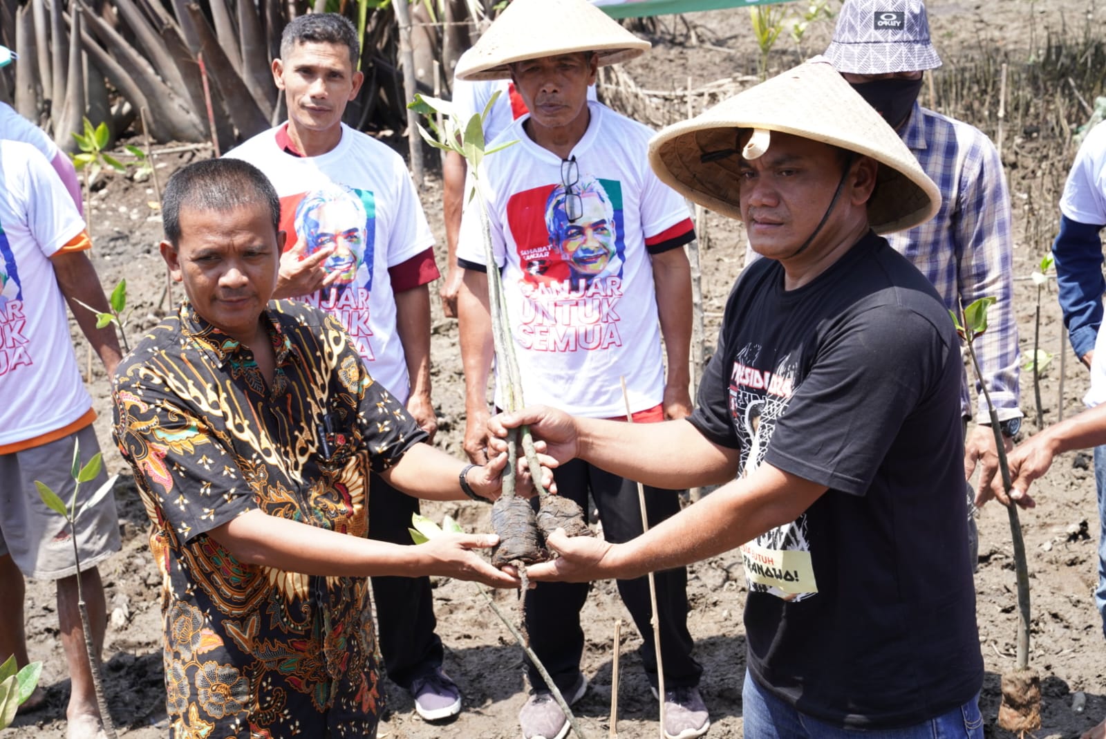 Go Green untuk Indonesia, Saga tanam mangrove di Cilacap Utara Go Green untuk Indonesia, Saga tanam mangrove di Cilacap Utara