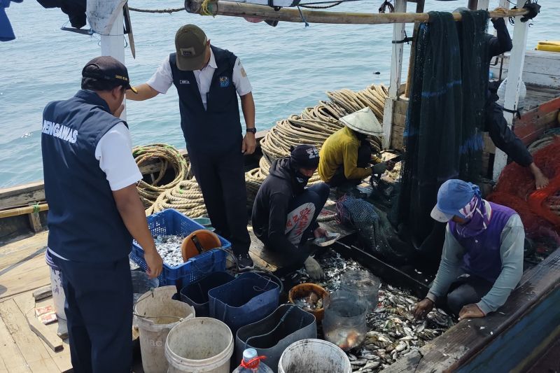 Kepulauan Seribu tangkap 9 kapal yang pakai alat tangkap terlarang Kepulauan Seribu tangkap 9 kapal yang pakai alat tangkap terlarang