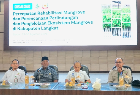 Hutan mangrove rusak BRGM sosialisasi percepatan rehabilitasi M4CR di Langkat Hutan mangrove rusak BRGM sosialisasi percepatan rehabilitasi M4CR di Langkat