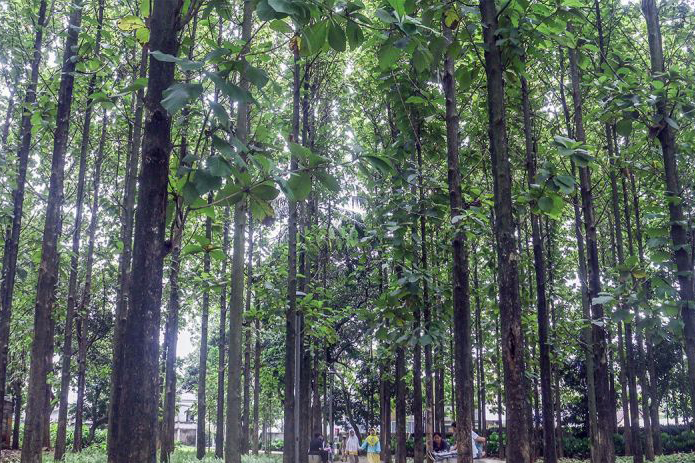 Kualitas udara Jakarta pada Kamis pagi masih terburuk kedua di dunia