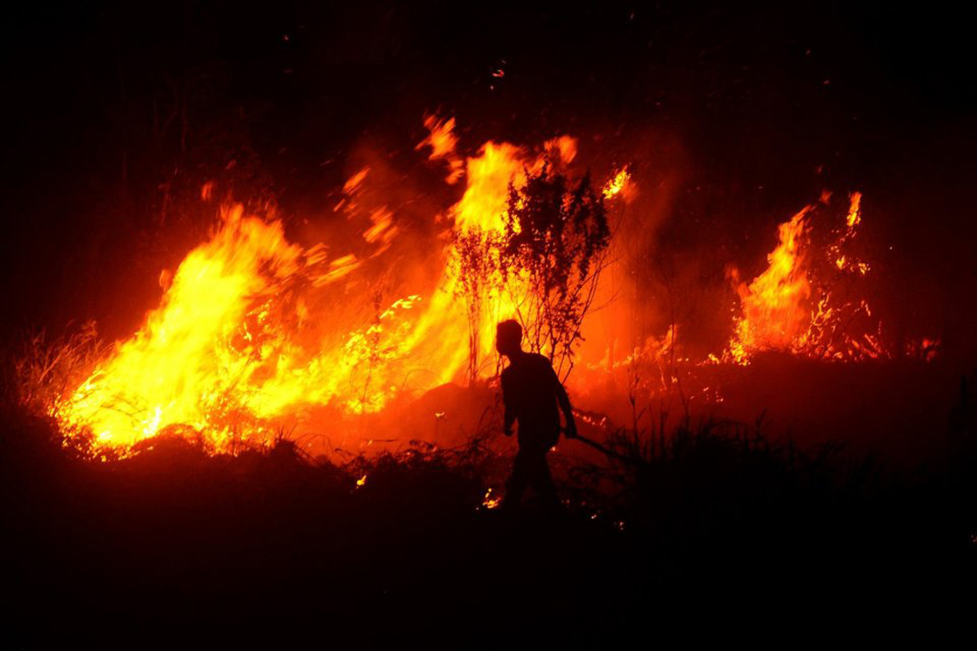 30 Agustus 2023: Kawasan hutan di Kaki Gunung Lawu Karanganyar terbakar 30 Agustus 2023: Kawasan hutan di Kaki Gunung Lawu Karanganyar terbakar