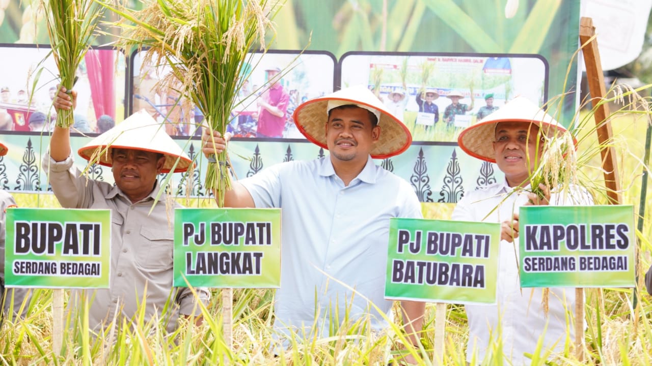 Wujudkan kolaborasi, Pj Bupati Langkat hadiri panen raya di Serdang Bedagai 