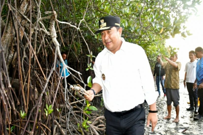 Penjabat Gubernur bertekad jadikan Sulbar sentra penghasil kepiting Penjabat Gubernur bertekad jadikan Sulbar sentra penghasil kepiting