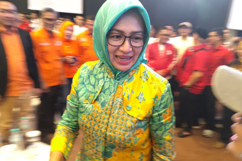 Airin tak dapat dukungan Golkar pada Pilgub Banten