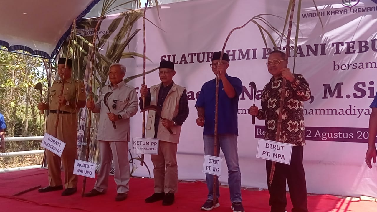 Muhammadiyah jalin kerjasama pengembangan tebu di Rembang Muhammadiyah jalin kerjasama pengembangan tebu di Rembang