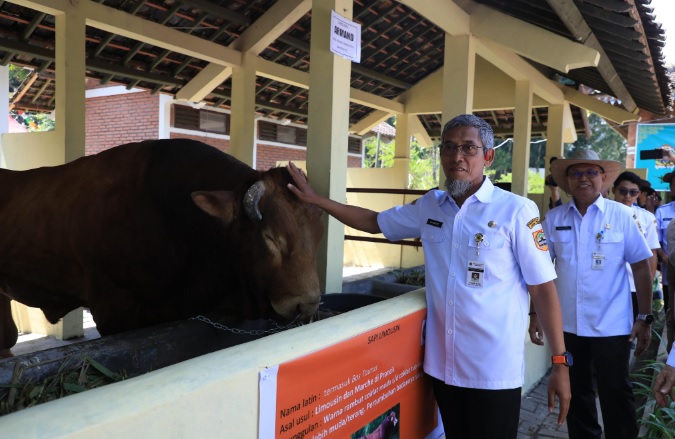 Jateng punya ratusan ribu petani milenial, 7,21 persen telah terapkan teknologi digital Jateng punya ratusan ribu petani milenial, 7,21 persen telah terapkan teknologi digital