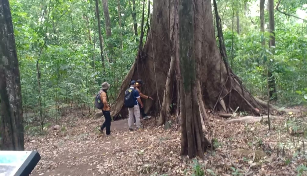 Pendakian Gubung Kahung jadi target wisata alam Desa Belangian Pendakian Gubung Kahung jadi target wisata alam Desa Belangian