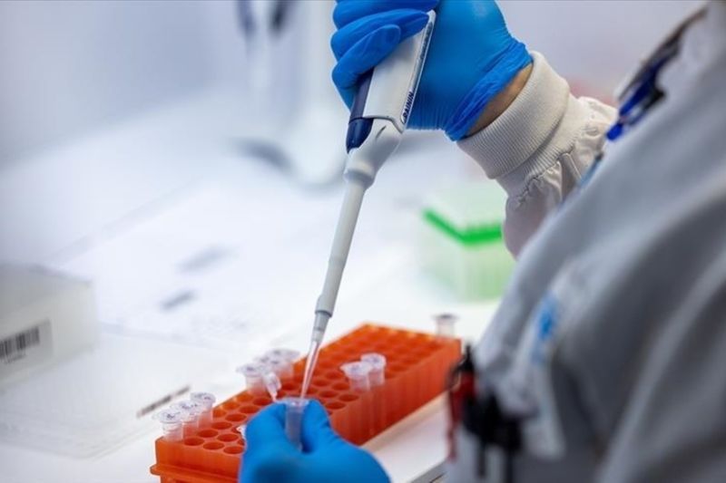 Malaysia memantau pintu masuk internasional antisipasi infeksi mpox Malaysia memantau pintu masuk internasional antisipasi infeksi mpox