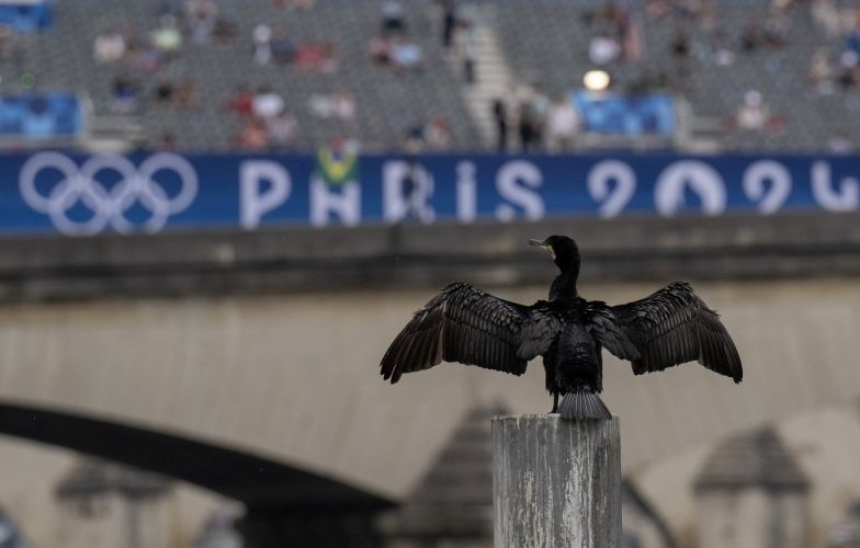WHO soroti turunnya cakupan vaksinasi menyusul kasus COVID di Paris