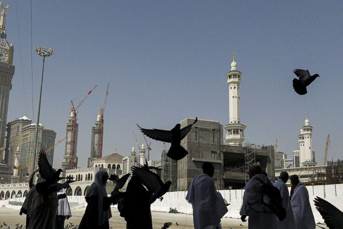 Memaknai kehadiran merpati di dua masjid suci