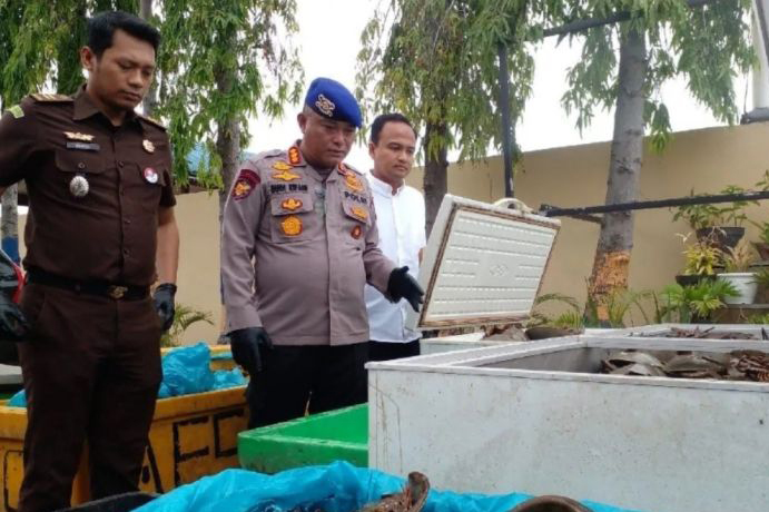 Hakim PN Medan vonis sembilan bulan penjara terdakwa penjual 1.600 belangkas Hakim PN Medan vonis sembilan bulan penjara terdakwa penjual 1.600 belangkas