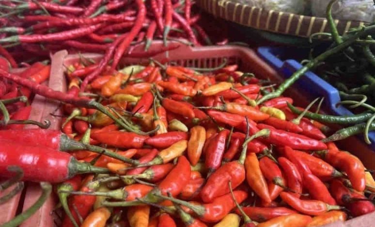 Harga pangan Sabtu: Cabai rawit turun Rp5.750 jadi Rp42.780 per kg Harga pangan Sabtu: Cabai rawit turun Rp5.750 jadi Rp42.780 per kg