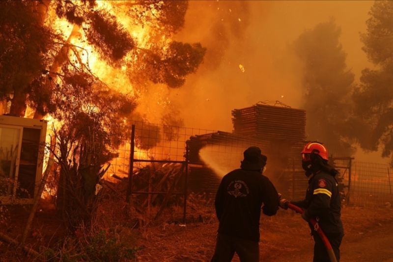Kebakaran hutan di Mediterania timur diperparah oleh perubahan iklim Kebakaran hutan di Mediterania timur diperparah oleh perubahan iklim