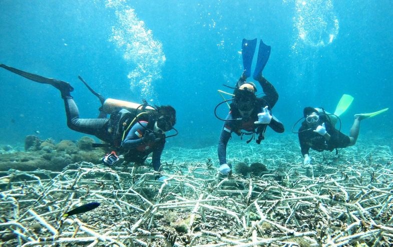 CTC kembangkan kawasan konservasi laut RI dukung ekonomi biru CTC kembangkan kawasan konservasi laut RI dukung ekonomi biru