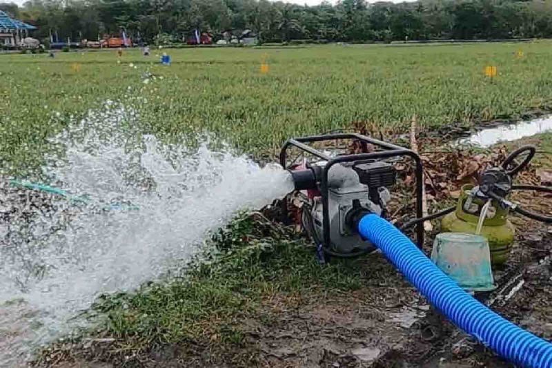 Kementan buka hotline pengaduan pompa bagi petani di seluruh Indonesia