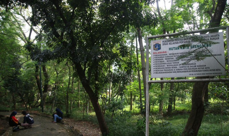 Hutan Kota Srengseng bisa jadi pilihan warga Jakarta untuk jalan kaki