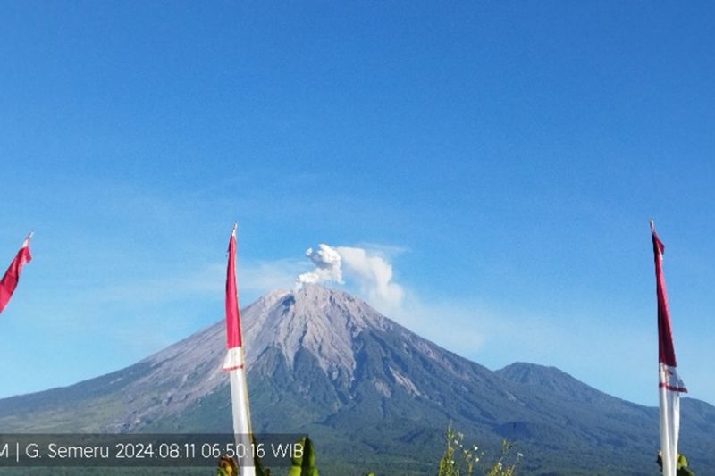 Gunung Semeru kembali erupsi dengan letusan setinggi 600 meter Gunung Semeru kembali erupsi dengan letusan setinggi 600 meter