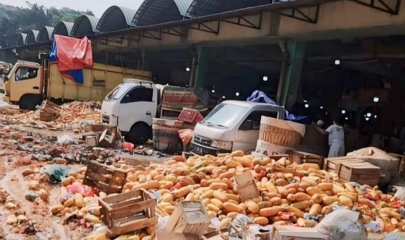 Pedagang buang sepuluh ton pepaya di Kramat Jati karena harga anjlok Pedagang buang sepuluh ton pepaya di Kramat Jati karena harga anjlok