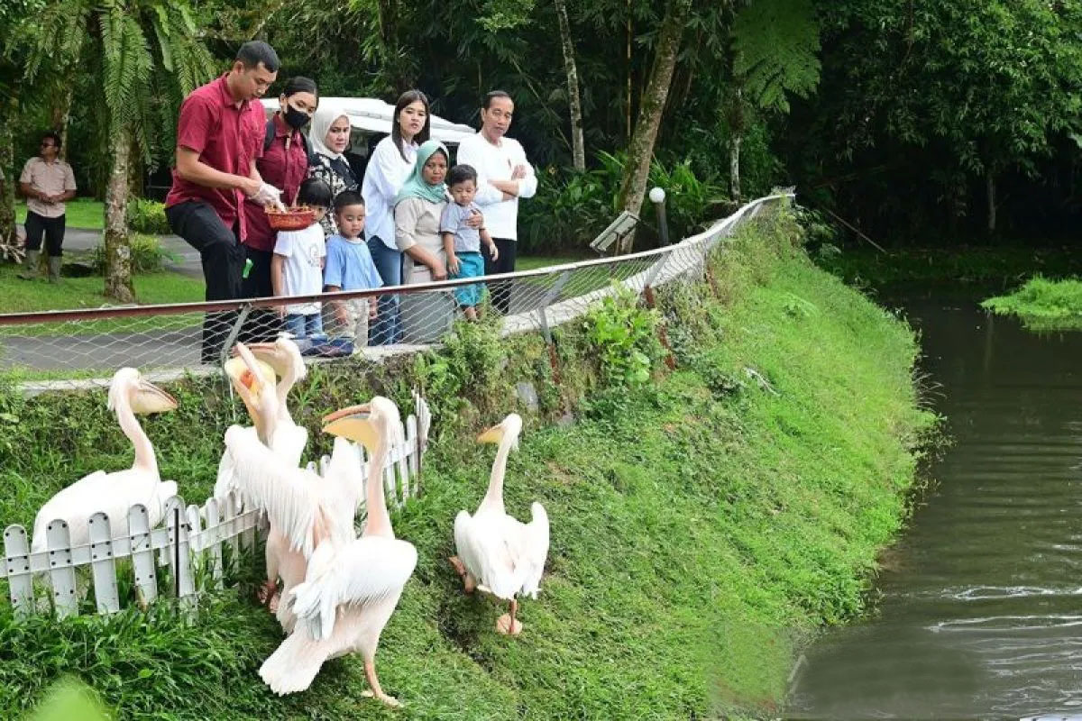 Presiden Jokowi ajak cucu wisata pengenalan satwa di liburan Lebaran Presiden Jokowi ajak cucu wisata pengenalan satwa di liburan Lebaran