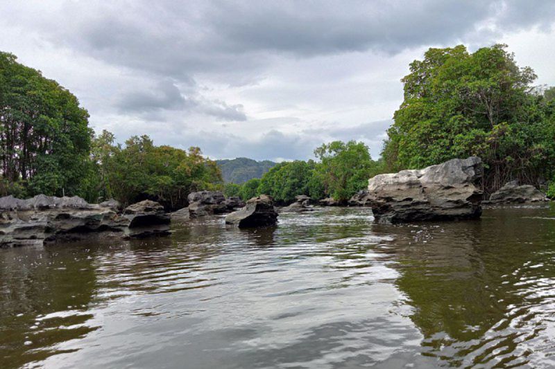Warga Palopo diimbau untuk tidak beraktivitas di sungai yang ada buaya Warga Palopo diimbau untuk tidak beraktivitas di sungai yang ada buaya