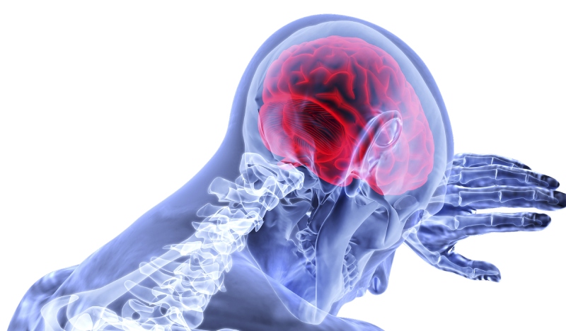 Dokter rekomendasikan pasien stroke makan kacang-kacangan Dokter rekomendasikan pasien stroke makan kacang-kacangan