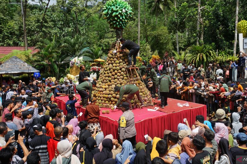 Ribuan wisatawan ikut nikmati festival durian di Trenggalek
