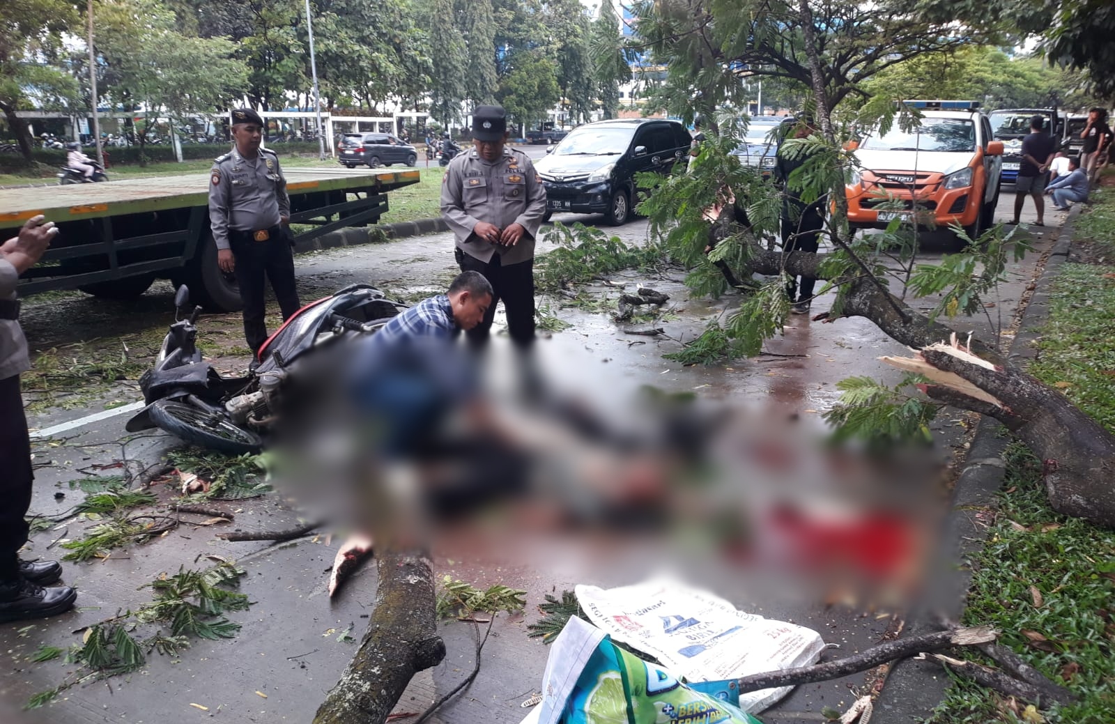 Dua warga Karawang meninggal dunia tertimpa pohon tumbang