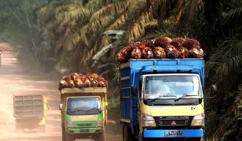 Memperkuat industri sawit Sumut demi tingkatkan kesejahteraan Memperkuat industri sawit Sumut demi tingkatkan kesejahteraan