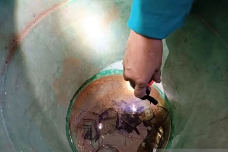 Dinkes DKI gencarkan pemberantasan sarang nyamuk untuk cegah DBD