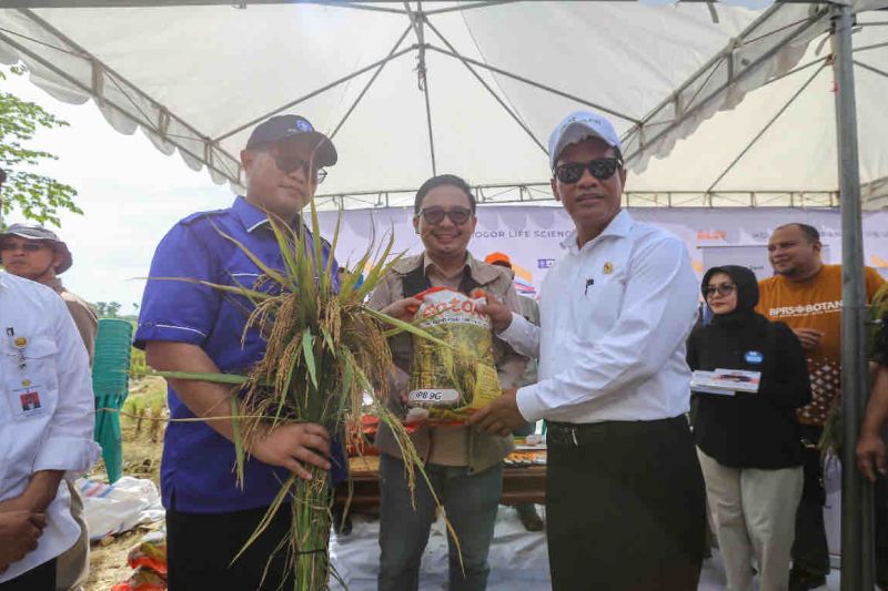 Kesiapan Mentan untuk kembangkan padi IPB 9G Kesiapan Mentan untuk kembangkan padi IPB 9G