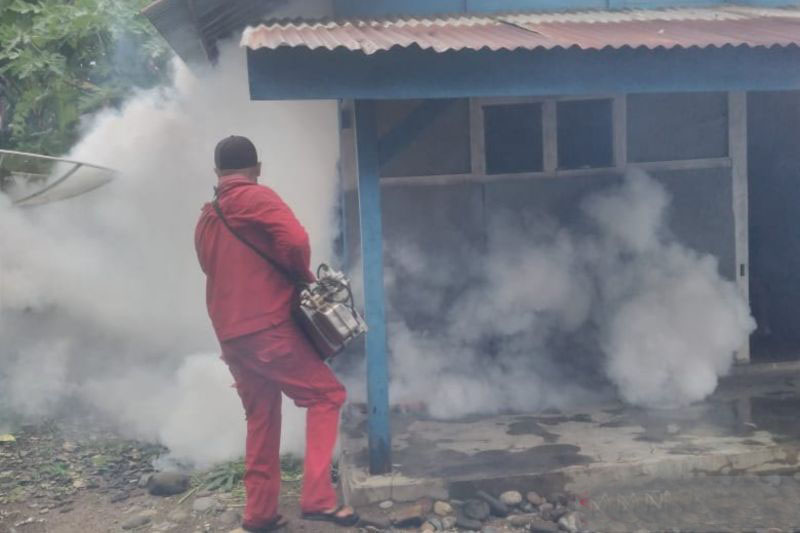 Kasus DBD di Mukomuko bertambah jadi 242 orang