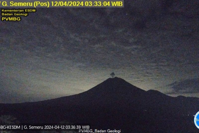 Gunung Semeru kembali erupsi dengan letusan setinggi 700 meter Gunung Semeru kembali erupsi dengan letusan setinggi 700 meter