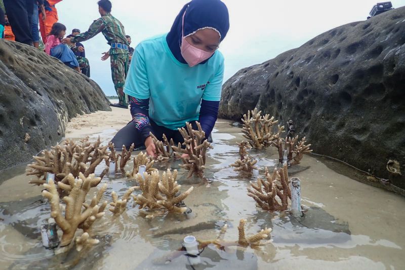 Pecinta lingkungan lakukan konservasi lingkungan hidup di Natuna