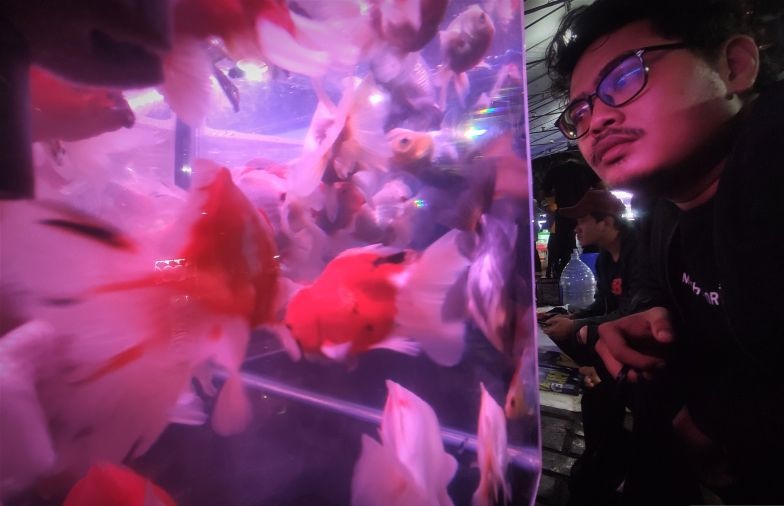 Lebaran membawa berkah bagi pedagang Pasar Malam Ikan Hias di Jakarta Lebaran membawa berkah bagi pedagang Pasar Malam Ikan Hias di Jakarta