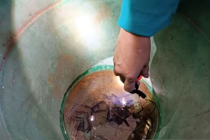 Kasus DBD di Jaksel pada pertengahan April turun signifikan