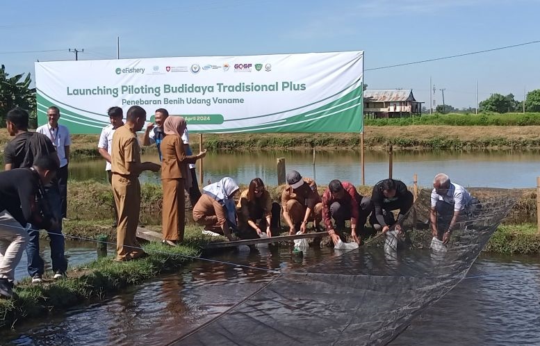 Efishery bersama KKP dan mitra luncurkan budidaya tradisional plus
