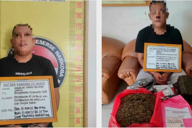 Tim gabungan tangkap pemesan ganja lewat jasa pengiriman barang Tim gabungan tangkap pemesan ganja lewat jasa pengiriman barang