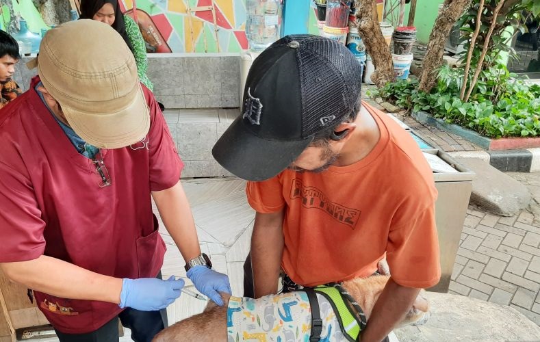 DKI Jakarta tetap terus berupaya agar kota nya bebas dari rabies DKI Jakarta tetap terus berupaya agar kota nya bebas dari rabies