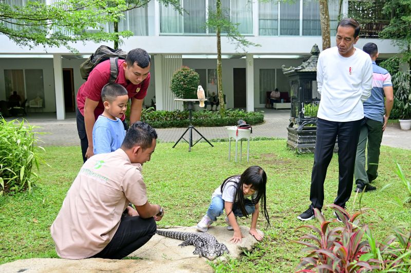 Presiden Jokowi ajak cucu wisata pengenalan satwa Presiden Jokowi ajak cucu wisata pengenalan satwa