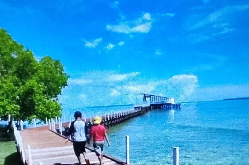 Objek wisata Taman Mangrove Ruar destinasi pilihan libur Lebaran Objek wisata Taman Mangrove Ruar destinasi pilihan libur Lebaran