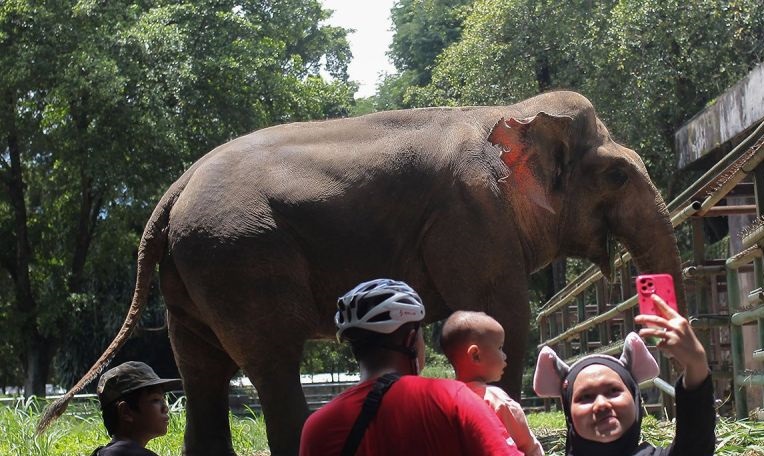 Ragunan siagakan 1.000 petugas saat libur Lebaran