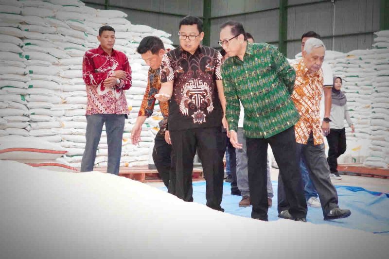 Bapanas dorong optimalisasi panen raya penuhi stok CPP di Cirebon Bapanas dorong optimalisasi panen raya penuhi stok CPP di Cirebon