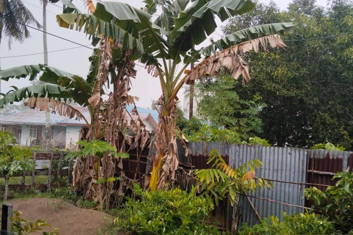 Angin kencang putuskan jaringan listrik di Mukomuko Angin kencang putuskan jaringan listrik di Mukomuko